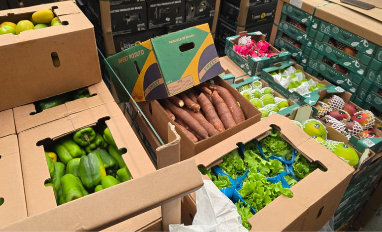 Pela primeira vez, Brasil exporta hortifrútis frescos em voo direto para a Ilha do Sal