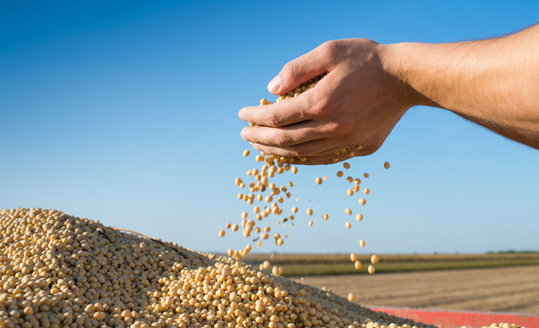 Produção agrícola nacional posiciona o Brasil entre os principais produtores e exportadores de alimentos do mundo