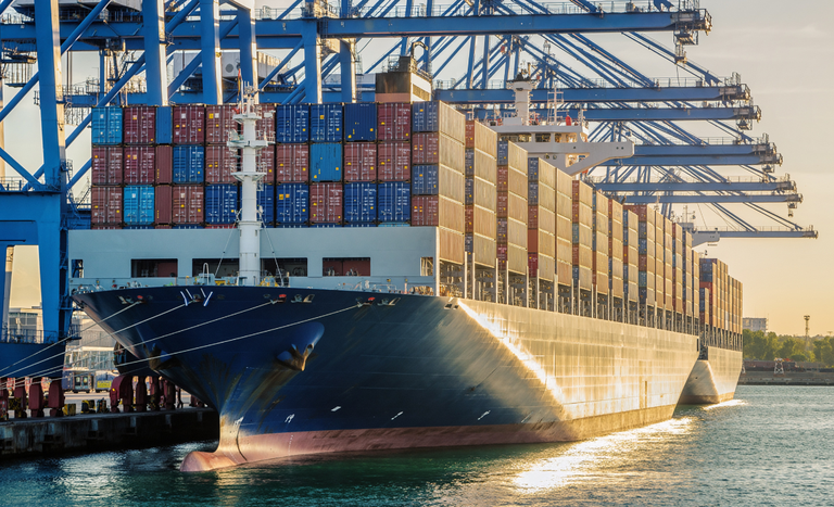 Primeiras cargas de DDGS chegam à China, e Brasil envia farinha de vísceras de aves ao país asiático