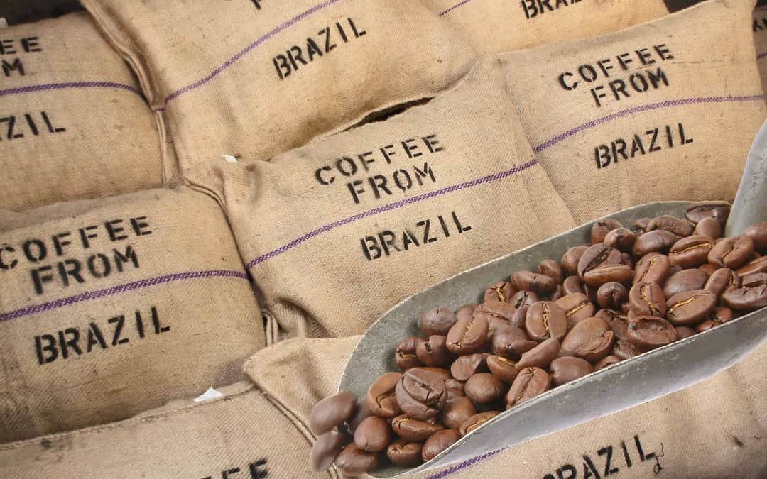 Do campo aos portos: café brasileiro mantém liderança global e movimenta exportações