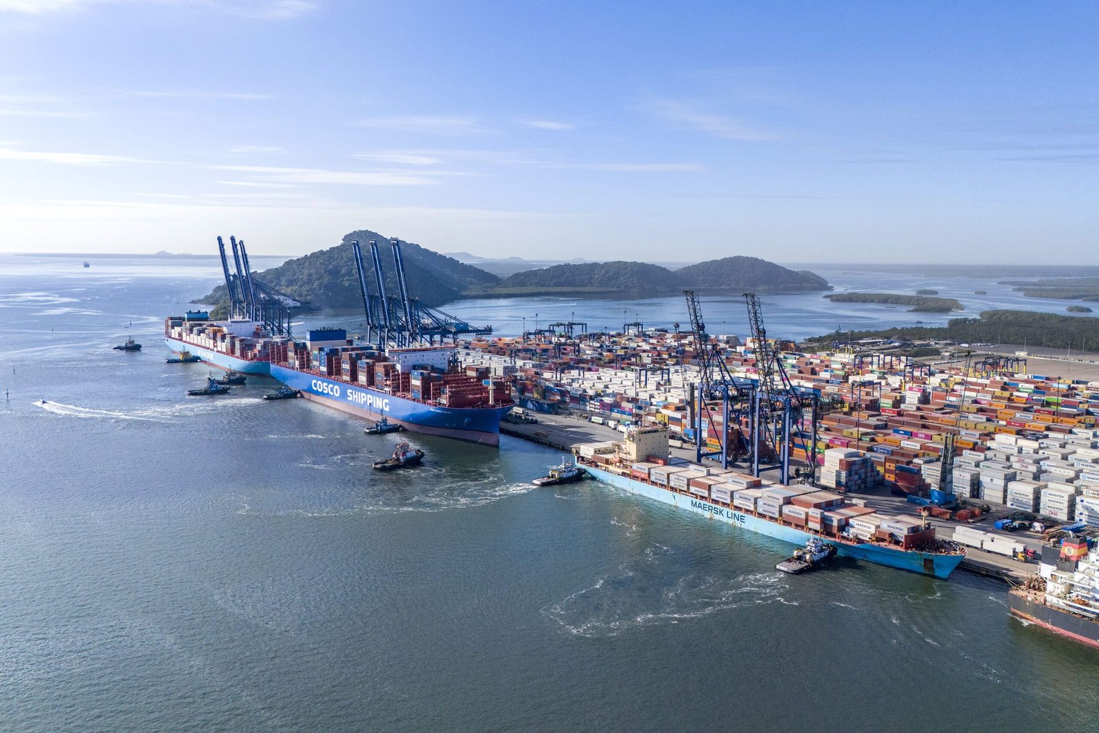 Por dentro dos portos: entenda as diferenças entre terminal arrendado e TUP